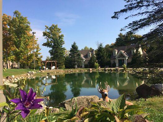 Spruce Hill Inn & Cottages مانسفيلد المظهر الخارجي الصورة